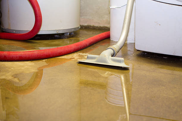 Professional Water damage restoration in TX